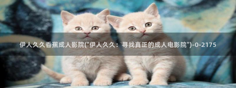 大香蕉伊人在线网视频