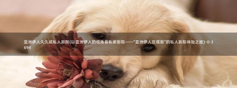 香蕉精品视屏伊人