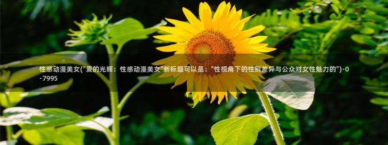 动漫主题曲