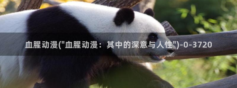 美女动漫