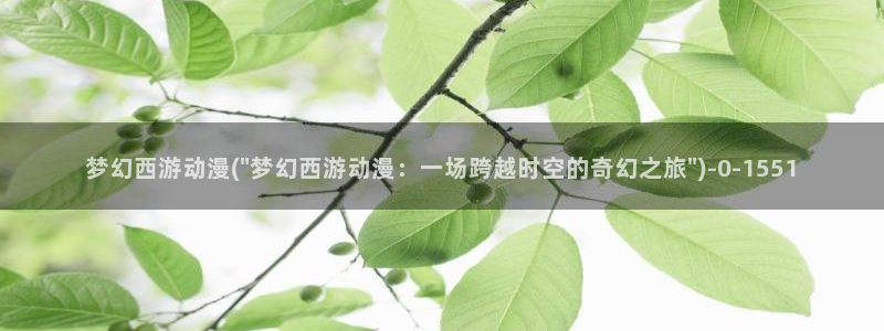 xl上司动漫