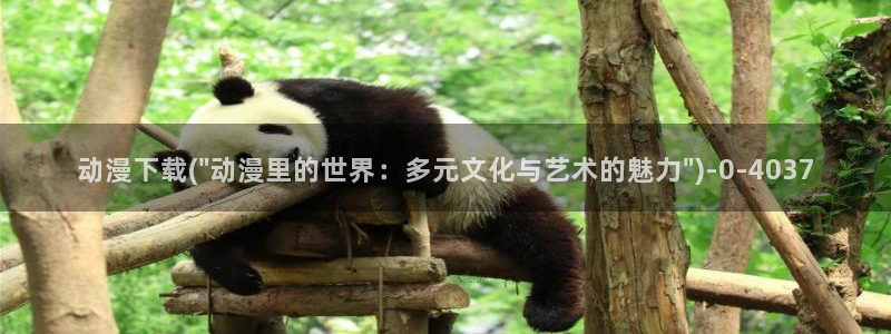 新世界动漫