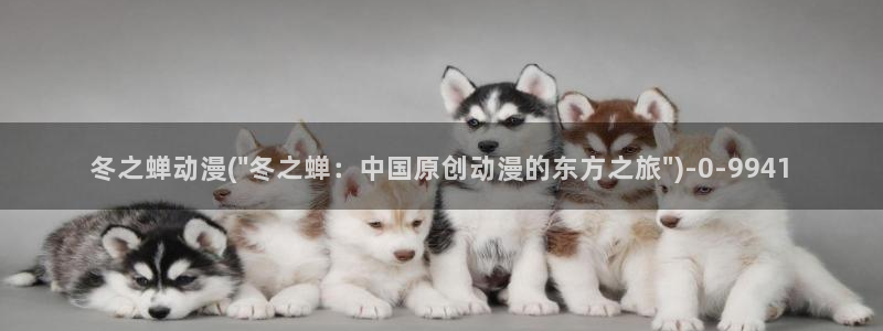 动漫节