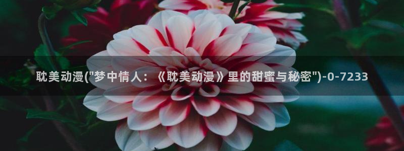 日本h动漫