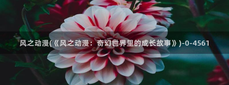 动漫排行