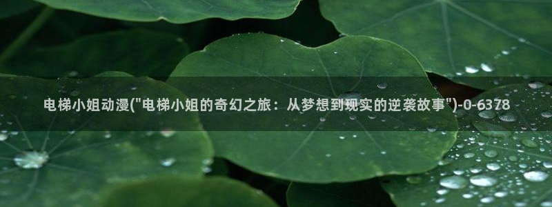 xl上司动漫