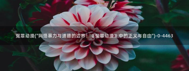 棋魂动漫