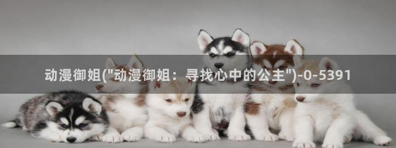 动漫岛